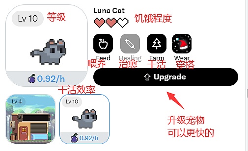 香港稳定币新规下，USDT和USDC的冰与火之歌