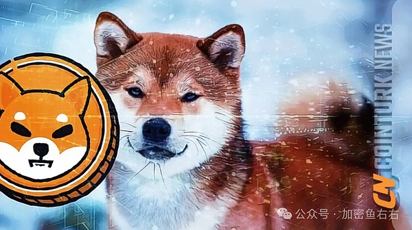 从巅峰到谷底：Cosmos生态的生死劫